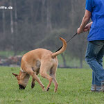 Da braucht man Muckis...