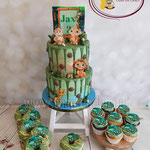 Jungle cupcakes and cake