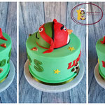 Duo taart Turtles/Angrybirds