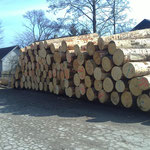 Holz aus den Karawanken Grenze Kärnten-Slowenien
