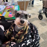 2022.6.30　フェイちゃんが正式譲渡になりました。