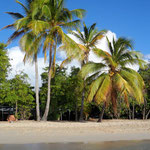 voyages pour solos, partirseul.com, plongée en Martinique
