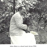 Lord Meher - 3128