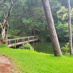 Path to Lagoon bridge - summer 2025. Photo by Anthony Zois