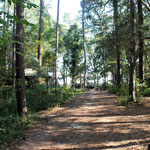 Footpath from parking area into Centre