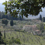 View from Mont Ceceri