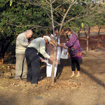 India ; scattering Arnavaz's ashes