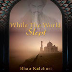 WHILE THE WORLD SLEPT 