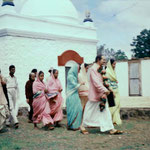 MSI Collection ; 1954