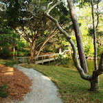 Path to Lagoon bridge - summer