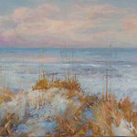 South Carolina dunes