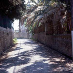The street that led to Villa Caldana