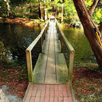 Lagoon bridge & path to the Library - summer