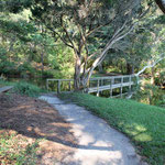 Path to Lagoon bridge - winter