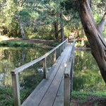 Lagoon bridge - winter