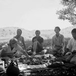 MSI Collection : India