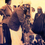 India - late 1930s : Gaimai standing on the far left of Meher Baba and his dog - Chum
