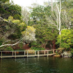 Lagoon bridge from the boathouse