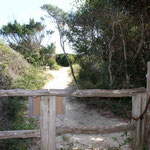 Footpath over the dunes