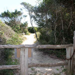 Footpath over the dunes