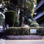The old Capo Di Monte was demolished and this apartment building-A Giles
