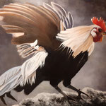 COQ ARGENTE - HUILE 92/73 cm