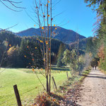 In der traumhaften Kulisse des Lagelsberges (und mit Blick auf die Zeller Hütte, wenn man genau hinsah), ging es gemütlich auf der Forststraße aufwärts