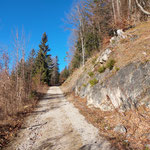 Rechterhand geht es weiter, eine Kehre aufwärts, und noch einige Minuten moderat ansteigend über die Forststraße weiter, bis....