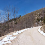 Wir durchquerten den Steinbruch und folgten nun einer weiteren Forststraße, die nach Osten führend unterhalb des Hochbuchberges vorbei verläuft (der Weg Richtung Grünburger Hütte ist angeschrieben)