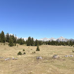 Am schönsten zeigte sich der Blick sicherlich nach Norden auf den Prielkamm