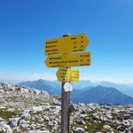  An dieser Stelle gabelt sich der Weg - entweder Richtung Zellerhütte oder zurück zur Wurzeralm