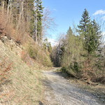 Nachdem wir das getan hatten, machten wir uns entlang der Aufstiegsroute an den Abstieg