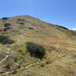 Bei dieser Gabelung ging es für uns aufwärts zum Salzofen, nach rechts könnte man zur Gößler Alm absteigen