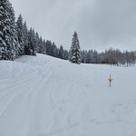 Wir folgten den Skispuren über die Forststraße, und kürzten diese bei diesem Hang etwas ab - auf die Abfahrt im Pulverschnee freuten wir uns schon