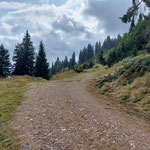 Um den Brandangerkogel zu erreichen folgten wir der Forststraße geradeaus, ....