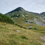 Nach circa 30 Minuten hatten wir die idyllische Bräuningalm erreicht - unser weiterer Wegverlauf war entlang der Südflanke des Berges gut zu erkennen