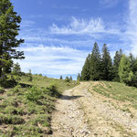 Moderat ansteigend schlängelt sich die Forststraße durch die wunderschöne Landschaft. Diese war, kaum dass wir den Kessel verlassen hatten, schlagartig menschenleer
