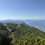 Hier am Latschenplateau ging es in stetigem Auf und Ab zum Gipfelkreuz 