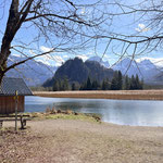 Am Almsee Ufer angekommen ging es aber nicht am Ostufer entlang retour...
