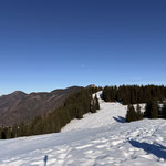 Unser Ziel lag vor uns - hinter den Bäumen befindet sich der Gipfel des Feichtensteins. Der freie Berg im Hintergrund ist übrigens der Faistenauer Schafberg