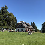Vorbei an der Alm,...