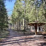 ... und gleich darauf wieder nach links auf einen ausgetretenen Waldweg