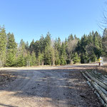 ... bis wir diese große Kreuzung erreichten. Man könnte zum Laudachsee wandern, zum Franzl im Holz absteigen - oder so wie wir weiter zum Grünberg aufsteigen. Dafür ging es nach links...