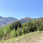 Dieser folgten wir nach rechts, stets von Ausblicken auf die Kremsmauer begleitet