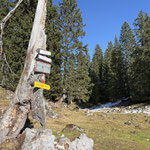 ... und folgten weiter dem Berge-Seen-Trail Richtung Hallstatt