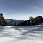 Bei der Alm angekommen verließen wir die Forststraße...