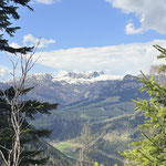 Das Tote Gebirge leuchtete noch strahlend weiß - hier würde es wohl noch etwas dauern, bis sich der Winter verabschiedet und der Frühling Einzug hält