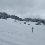 Bei der Mittereckalm angekommen