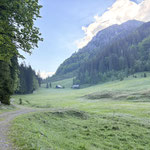 Noch waren keine Kühe auf der Alm,...