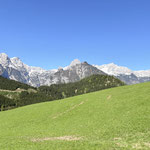 Die Perspektive auf den Prielkamm hatte sich geändert gegenüber dem schönen Almboden, und auch die Natur zeigte sich deutlich grüner und üppiger